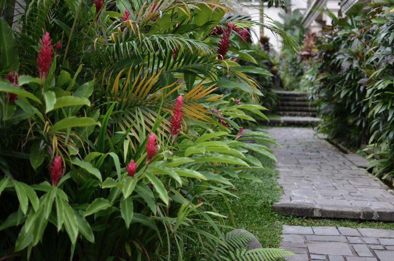 Puri Sunia Resort Ubud Buitenkant foto